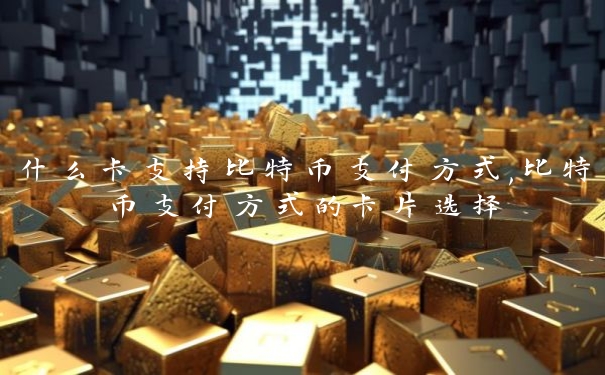 什么卡支持比特币支付方式,比特币支付方式的卡片选择
